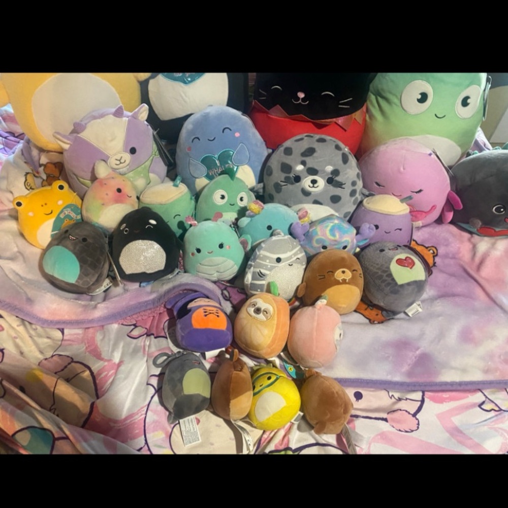 Squishmallow lot
